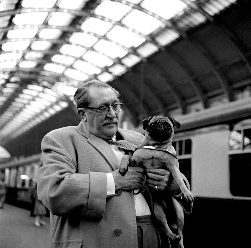 Gilbert Harding & Dog 1960