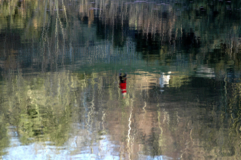 Viaduct Pond 2006